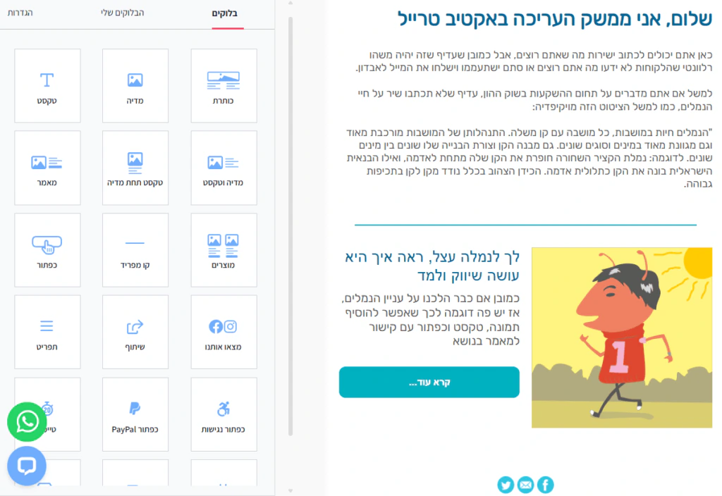 צילום מסך של עורך הטקסט במערכת אקטיב טרייל